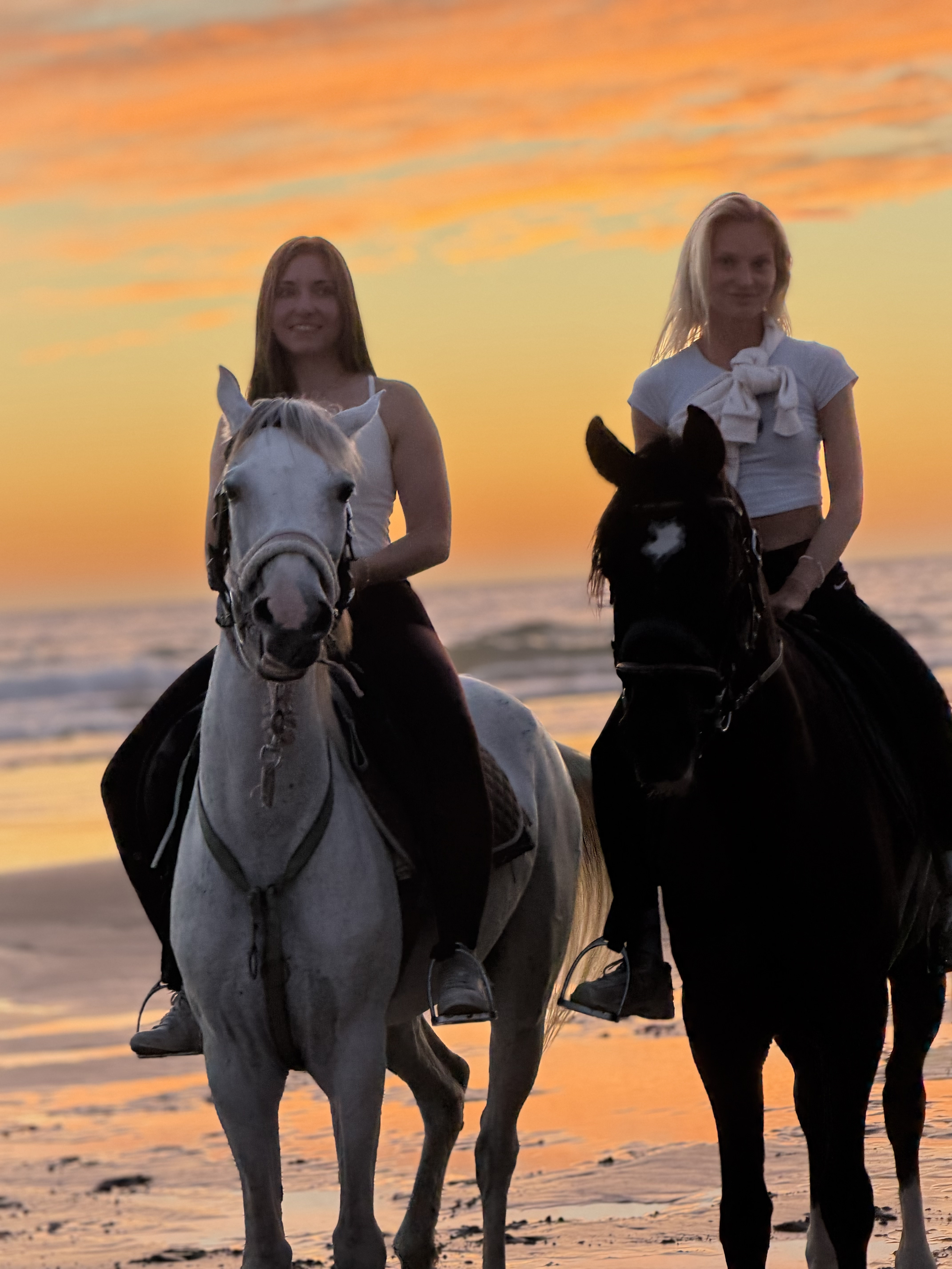 Full day beach horse adventure