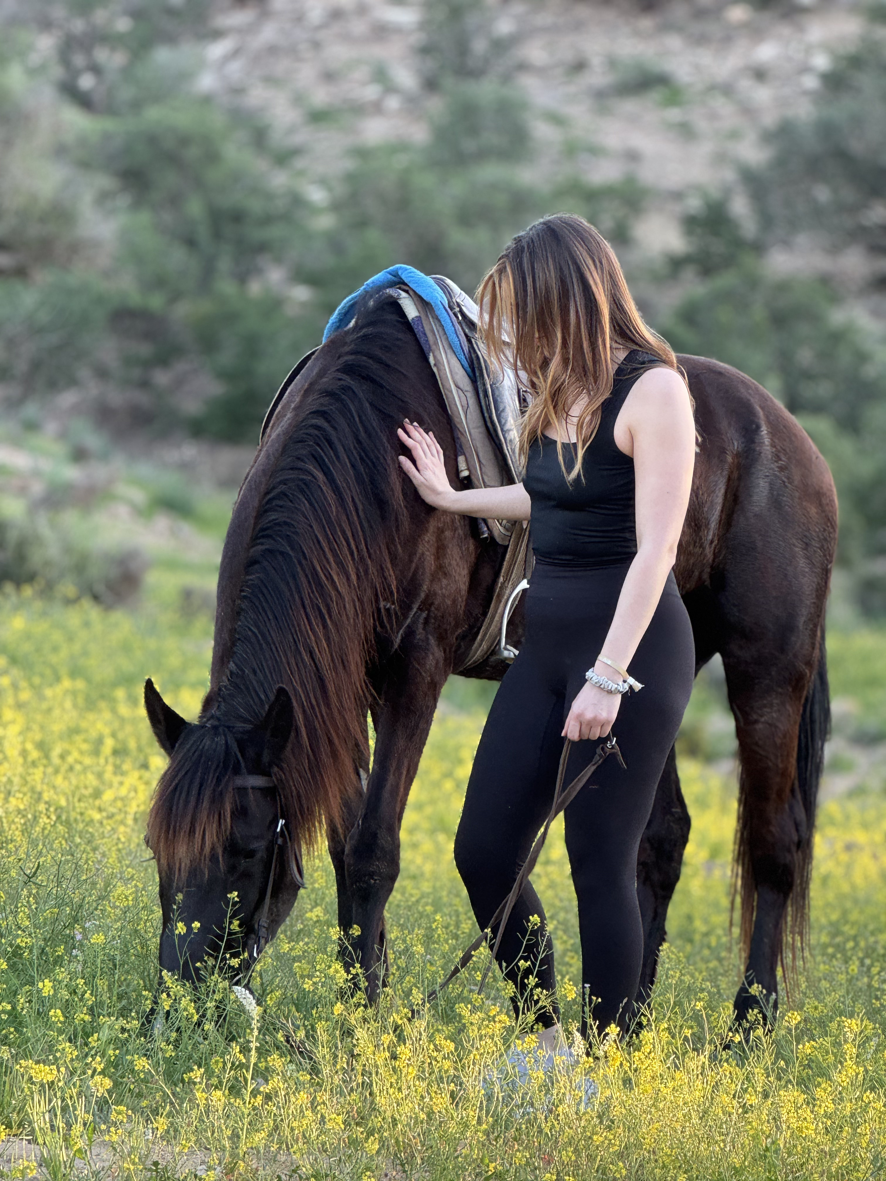 Coastal mountain horseback adventure