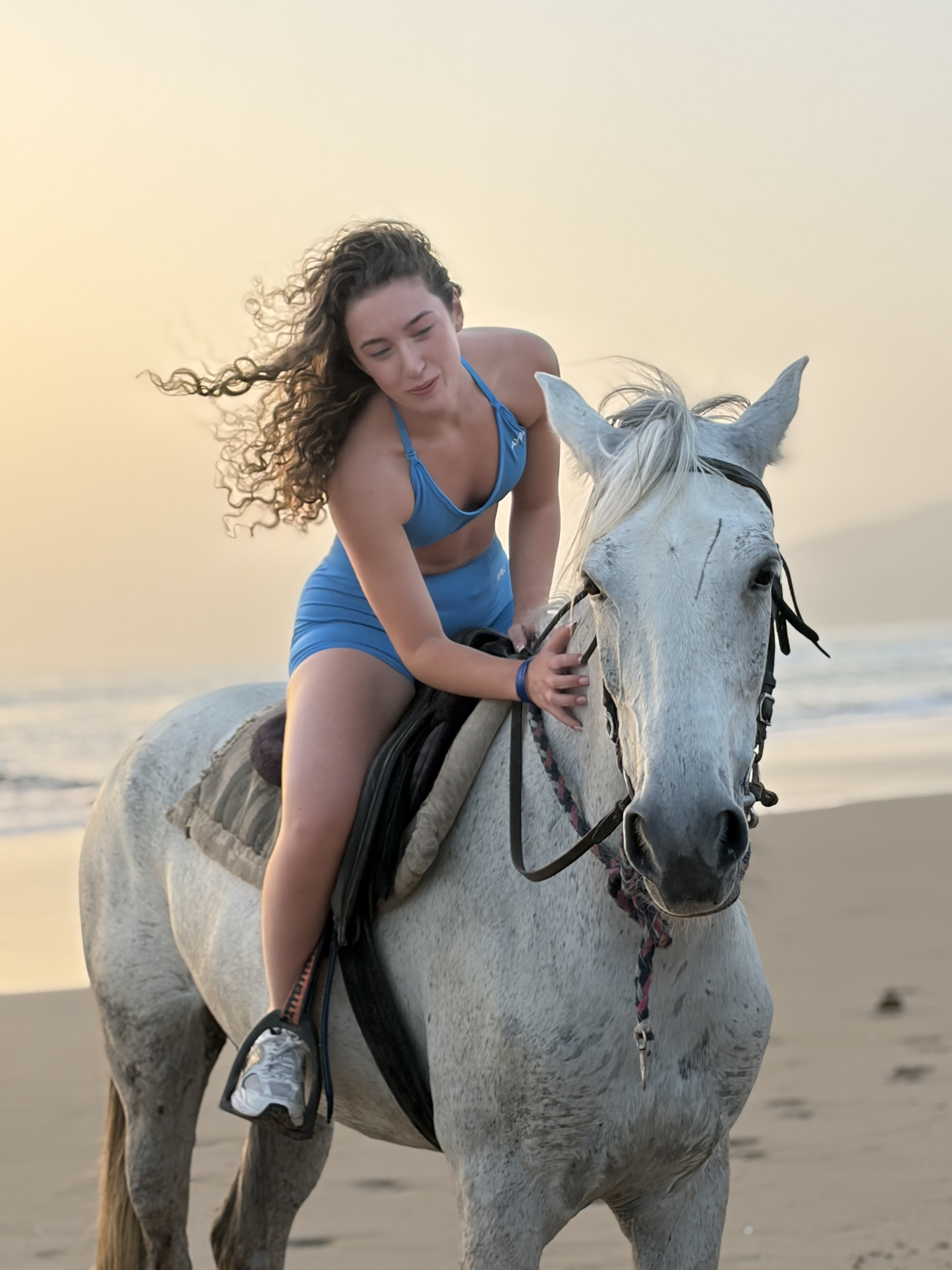 Gentle horse on the coastal sand